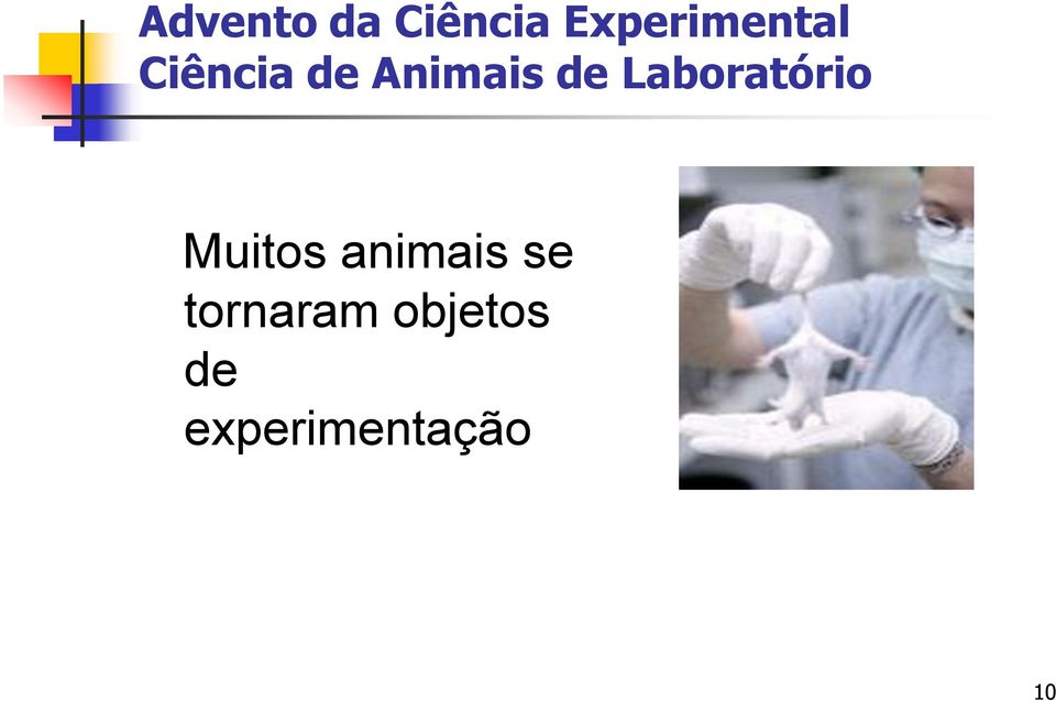 Animais de Laboratório Muitos