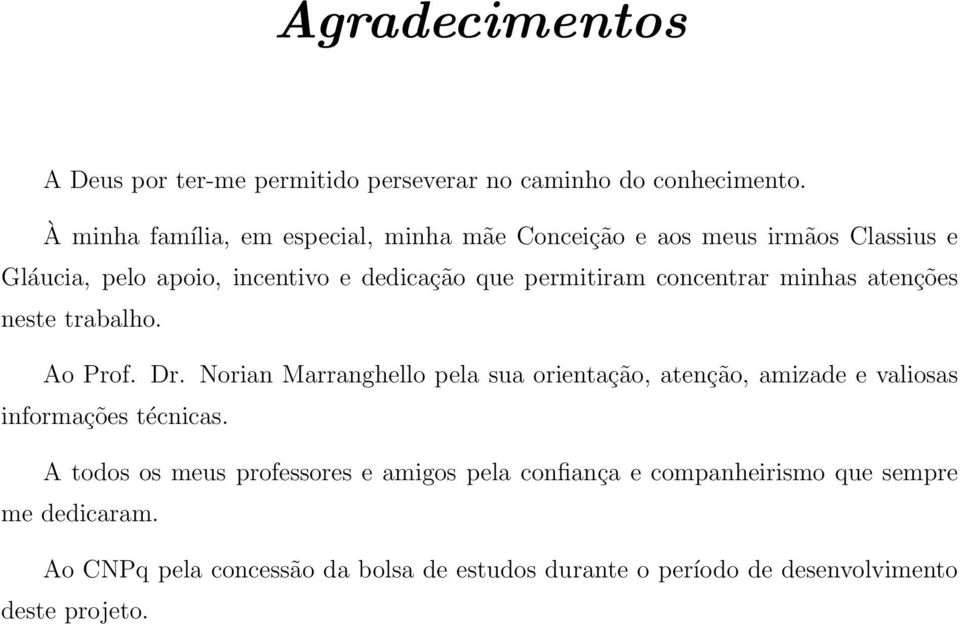 concentrar minhas atenções neste trabalho. Ao Prof. Dr.