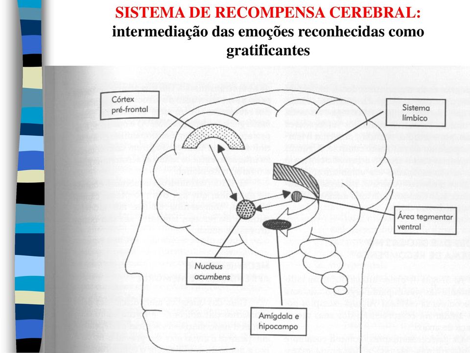 intermediação das