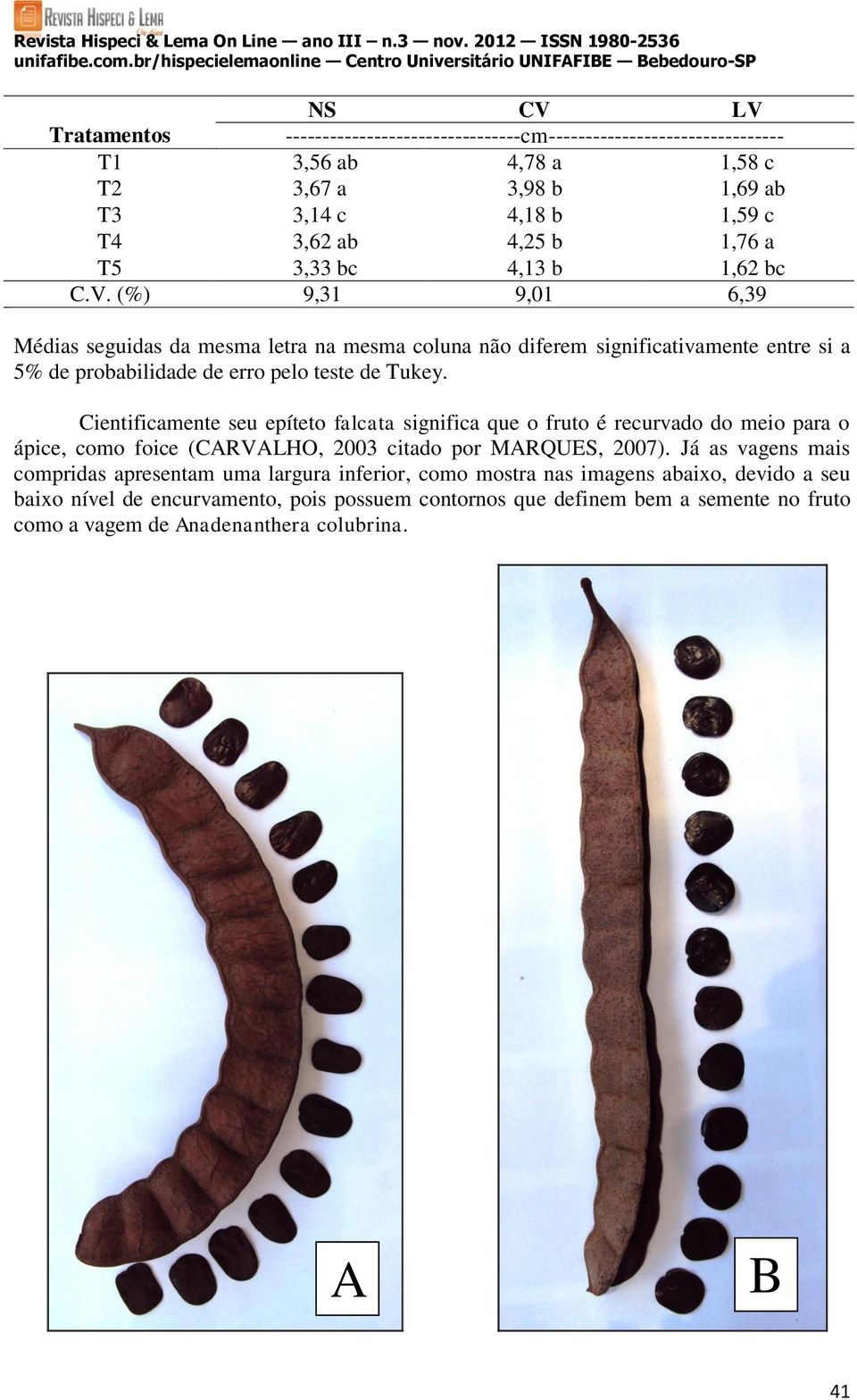 Cientificamente seu epíteto falcata significa que o fruto é recurvado do meio para o ápice, como foice (CARVALHO, 2003 citado por MARQUES, 2007).