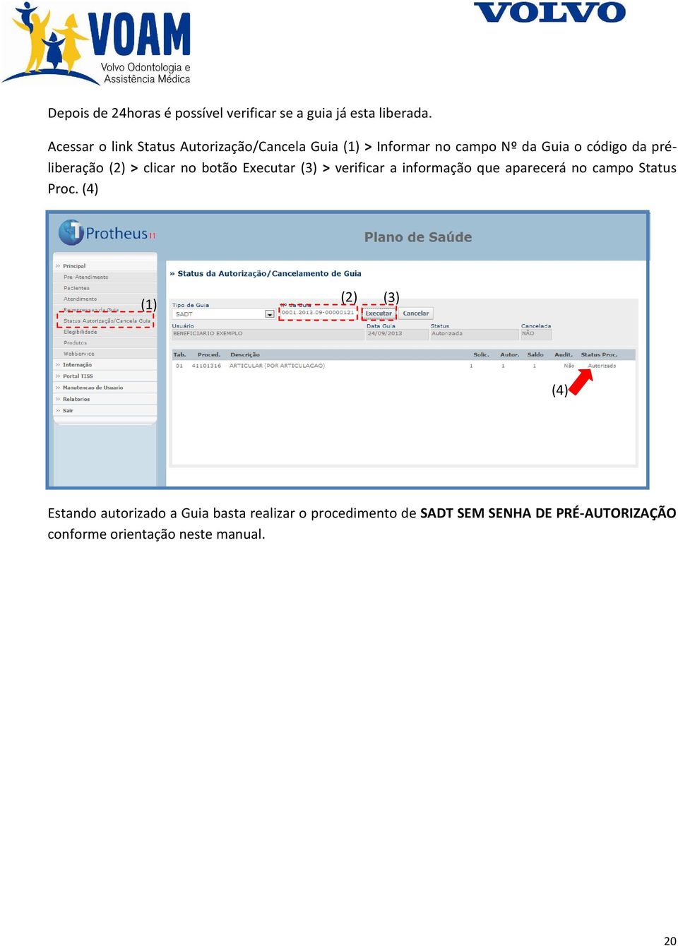 préliberação (2) > clicar no botão Executar (3) > verificar a informação que aparecerá no campo Status