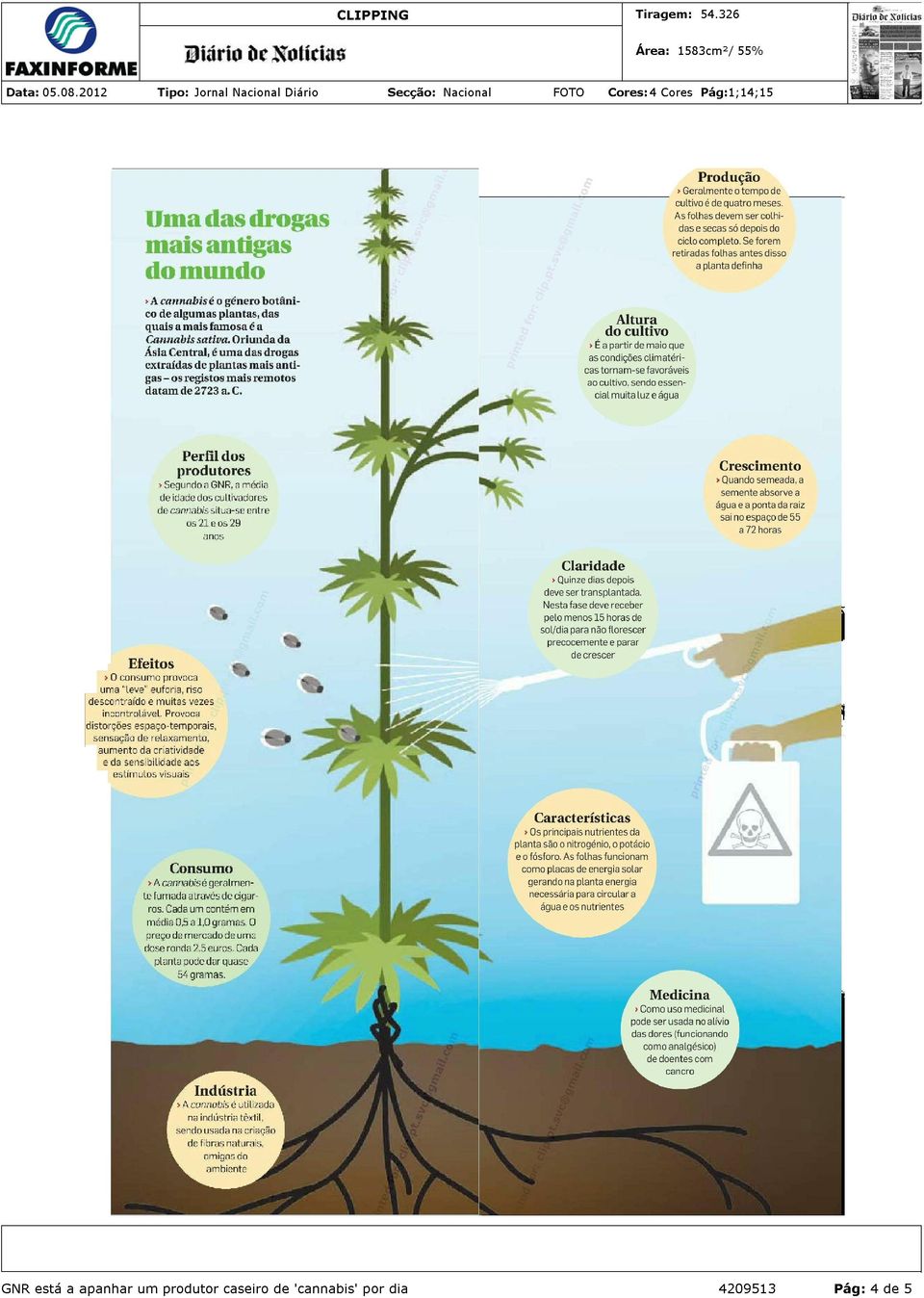 Ao mesmo tempo, o projeto de lei prevê a legalização do cultivo para consumo próprio e a criação de clubes sociais de cannabis.