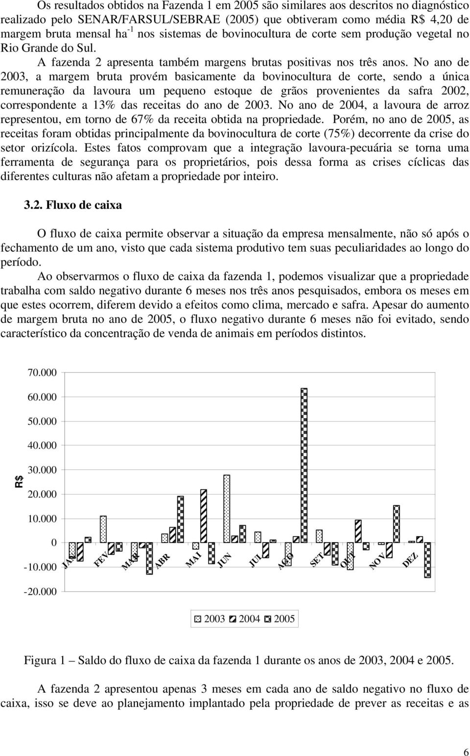 No ano de 2003, a margem bruta provém basicamente da bovinocultura de corte, sendo a única remuneração da lavoura um pequeno estoque de grãos provenientes da safra 2002, correspondente a 13% das