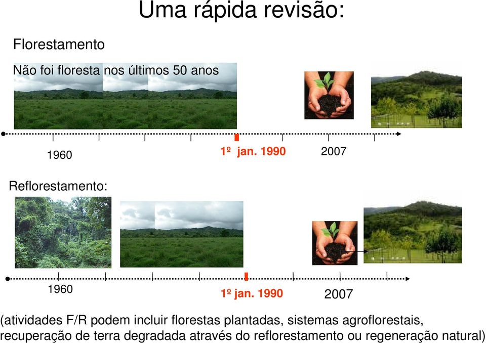 1990 2007 (atividades F/R podem incluir florestas plantadas, sistemas