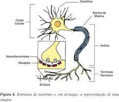 Terminações