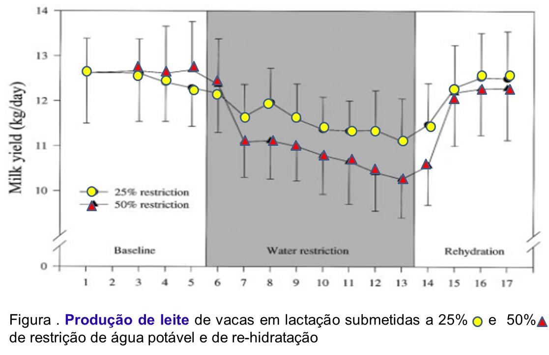 Fonte: Burgos et al.