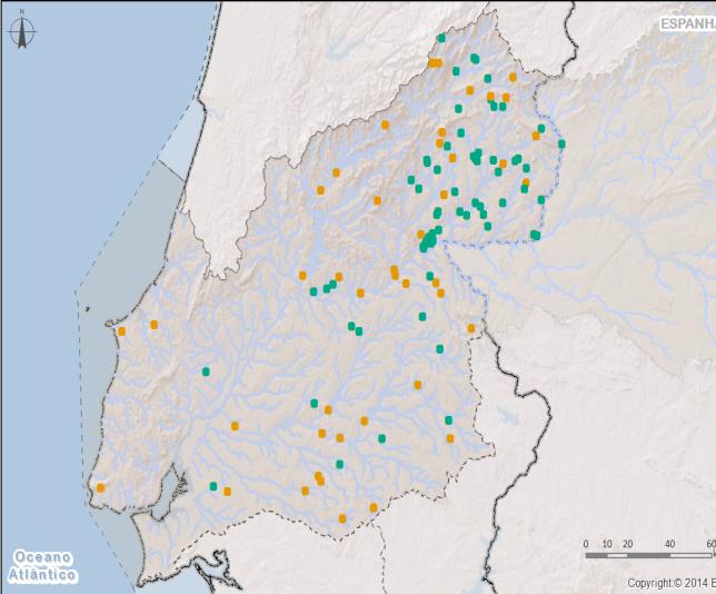 Principais Pressões Alterações morfológicas Implementação de infraestruturas transversais no domínio hídrico (barragens e açudes), com quebra do continuum fluvial Regularização fluvial Construção da