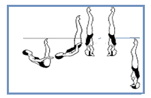 2. Deslocar em Cancã cabeça à frente, uma perna é levantada da superfície estendida para a Posição de Cancã, segue-se a esta a outra perna para uma Posição de Cancã Duplo.