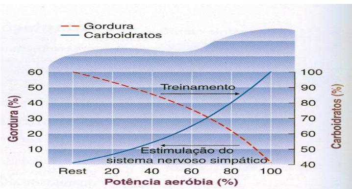 RECOMENDAÇÕES DO