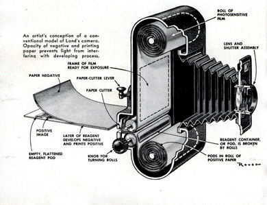 The resolution R depends on the angular aperture α: Basic microscope main elements: 1. ocular lens or eye-piece 2. objective turret, or nosepiece 3. objective lenses 4. coarse adjustment knob 5.