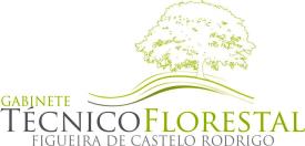 COMISSÃO MUNICIPAL DE DEFESA DA FLORESTA PLANO MUNICIPAL DEFESA DA FLORESTA