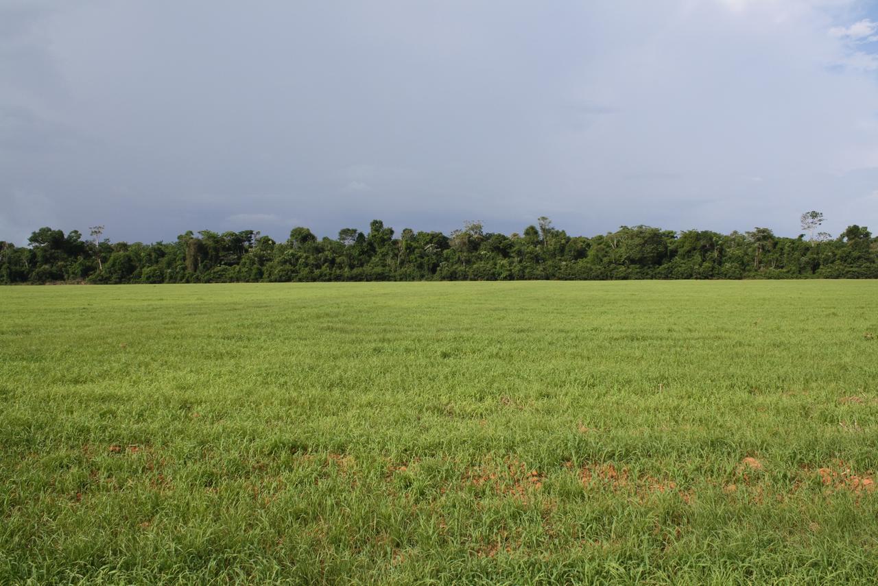 USO E COBERTURA DA TERRA NA AMAZÔNIA BRASILEIRA