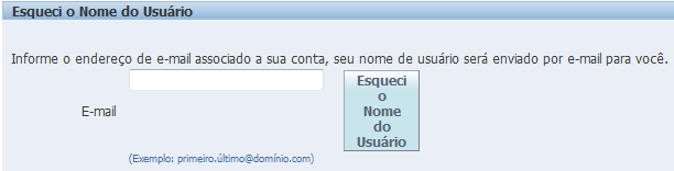 Portal de Fornecedores 1. Em caso de esquecer a senha ou usuário. Clique no link esqueceu a senha ou usuário? na página inicial.