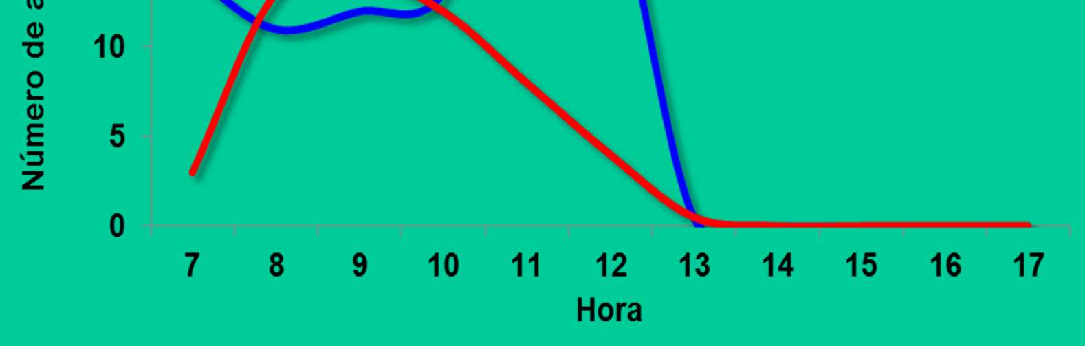 Variação da visitação de abelhas durante o dia