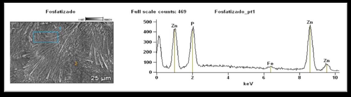 Na figura 5 observa-se a formação da camada de fosfato na forma de agulhas, como esperado em aço galvanizado. A camada formada é espessa na ordem de micrômetros e está bem distribuída pela superfície.