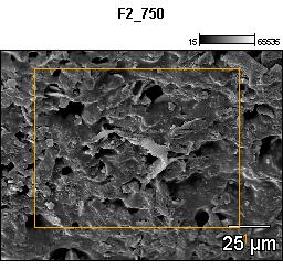 Figura 41- Micrografia eletrônica obtida com 3000x de aumento, de compósito cerâmico de mica moscovita 20% em temperatura de 950 C.