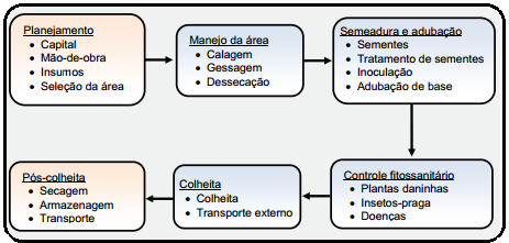 Cultivo e manejo da soja 5 PLANEJAMENTO Figura 6 - Fluxograma resumido de etapas de um sistema de cultivo de soja Fonte: (HIRAKURI et al.