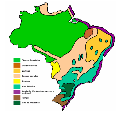 todos os ecossistemas do planeta formam a biofera. O mapa a seguir mostra exemplos dos principais ecossistemas encontrados no Brasil (Figura 1): Figura 1.