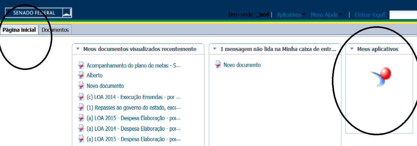 Como mostra a figura acima, o portal conta agora com ABAS na parte superior, onde estarão a Página Inicial, a relação de Documentos ou categorias, as consultas abertas e as demais funções, tais como