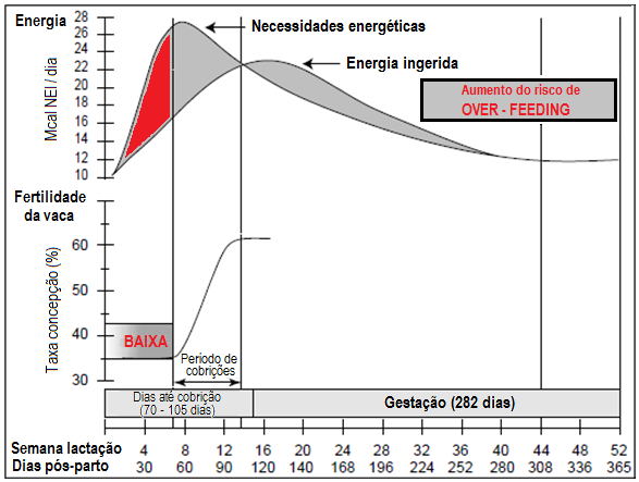 Dias em Leite (DEL) 90 dias 215 dias 60 dias Parto