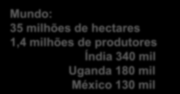 Raking dos 10 maiores países com área orgânica (milhões de hectares) Alemanha Uruguai 0,91 0,93 154 países no mundo tem produção orgânica.