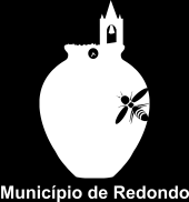 2.º Concurso de Flauta de Bisel Município de Redondo Sendo a música, entre outras artes, reconhecida como parte fundamental da história da civilização e também como excelente ferramenta para o