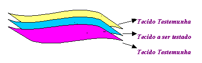 PAG: 2/ 5 FIGURA 1 DESENHO PARA TESTE DE ALTERAÇÕES DIMENSIONAIS A C E G H B D F PARA TESTE DE TRANSFERÊNCIA DA COR Cortar 3 (três) retângulos do tecido a ser testado nas dimensões 7x10 cm; Cortar 3