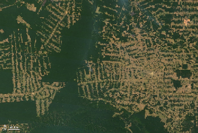 Critério espacial da norma Aspectos ambientais É incalculável o prejuízo que o Brasil tem por não ter satélite próprio para desenvolver políticas públicas; Rondônia 2000.