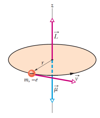 Átomos Possuem Momento angular e Momento Magnético L r L r p p sen Momento Angular L m r v Momento Angular p/ Orbita Circular NiA Momento Magnético de uma Bobina O movimento de um elétron em torno