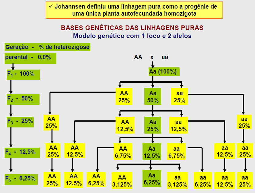 5. Linhas