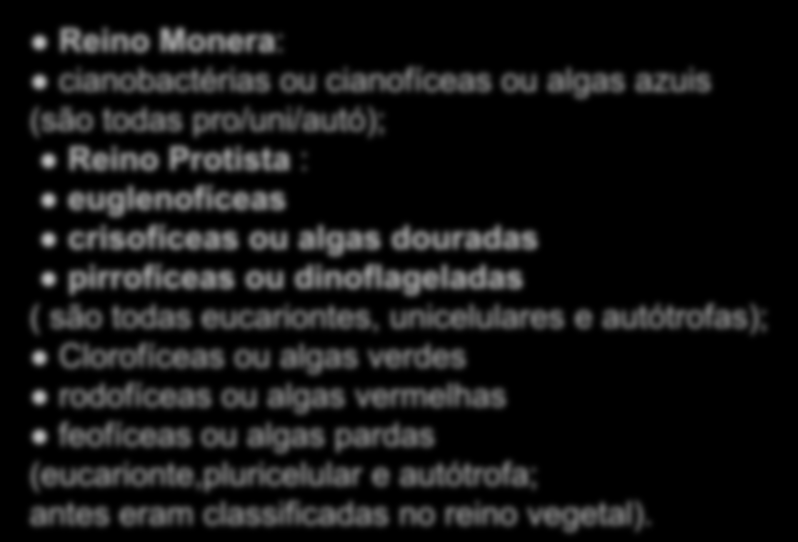 Quais são os reinos dos seres que podemos encontrar as algas como representantes?