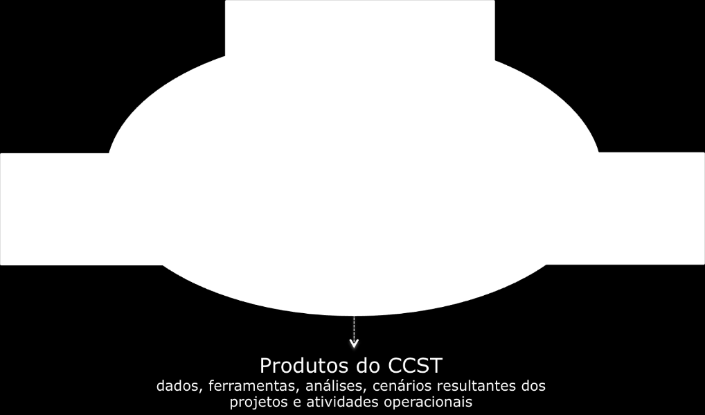 Organização do CCST em componentes integradas através de projetos transversais, visando à construção de cenários de sustentabilidade para o Brasil.