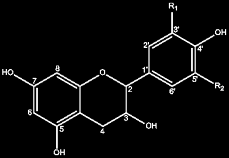 Flavonol R 1 R 2 R 3 Miricetina OH OH H Quercetina OH H H Canferol H H H Isoramnetina OCH3 H H Quercetina-3-O-glucósido OH H Glc Glc=glucose Figura 11.