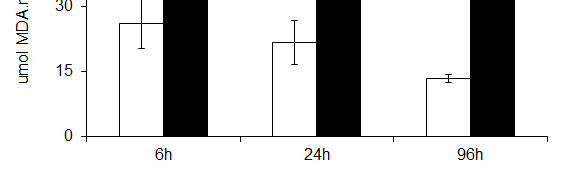 Peroxidaçãolipídica após 24 e 96 h de exposição Controle