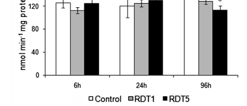 AChEno cérebro Controle RDT 1 mg L -1 RDT 5 mg L -1 AChEno músculo Roundup Transorb: também promoveu inibição
