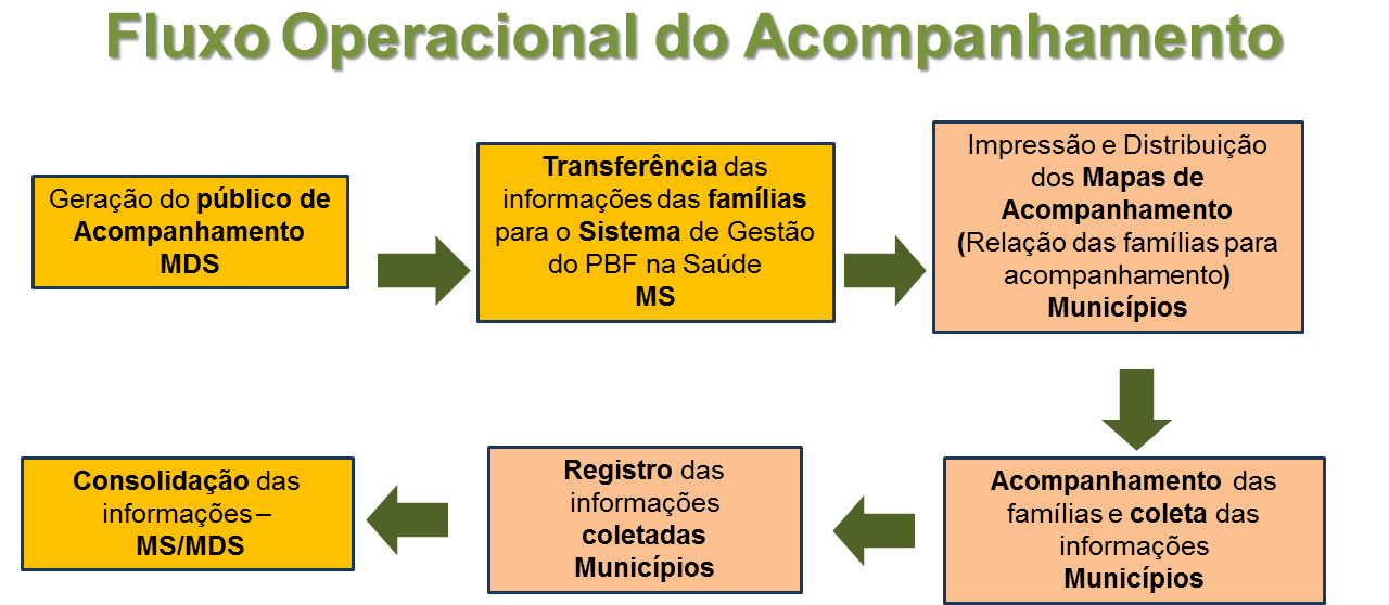 Ao realizar o acompanhamento, as equipes de saúde coletam as informações, registram no Mapa e posteriormente as digitam no Sistema de Gestão.