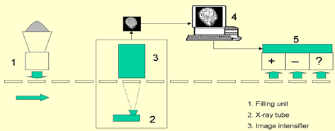 Seleção de sementes cheias Sementes de mamona Base para utilização de programas computadorizados na avaliação de alterações da morfologia interna Semente de algodão Semente de Xylopia aromatica