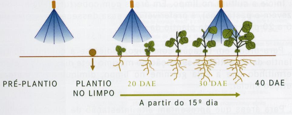 br 67 Programa de controle em área com alta infestação de trapoeraba