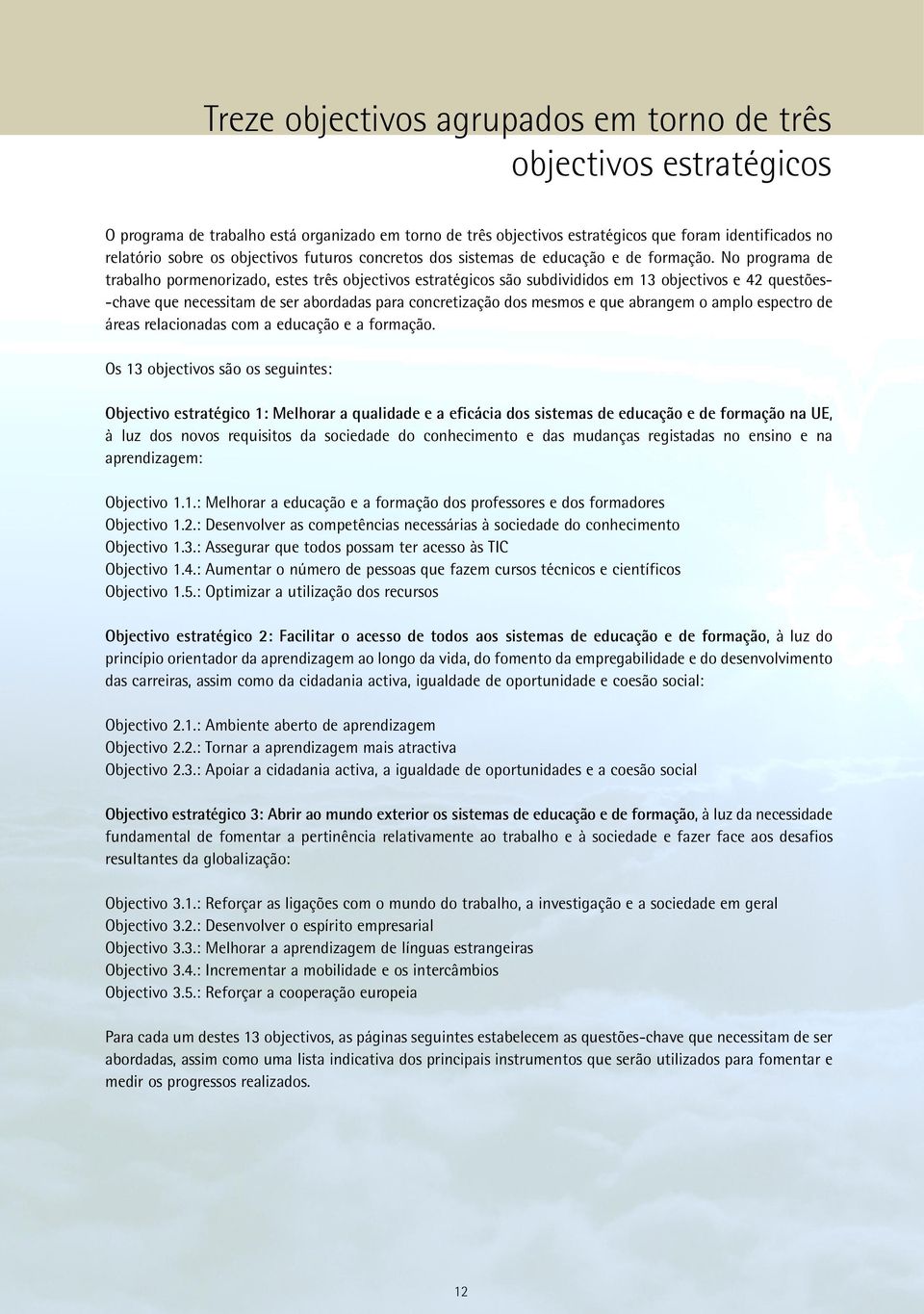 No programa de trabalho pormenorizado, estes três objectivos estratégicos são subdivididos em 13 objectivos e 42 questões- -chave que necessitam de ser abordadas para concretização dos mesmos e que