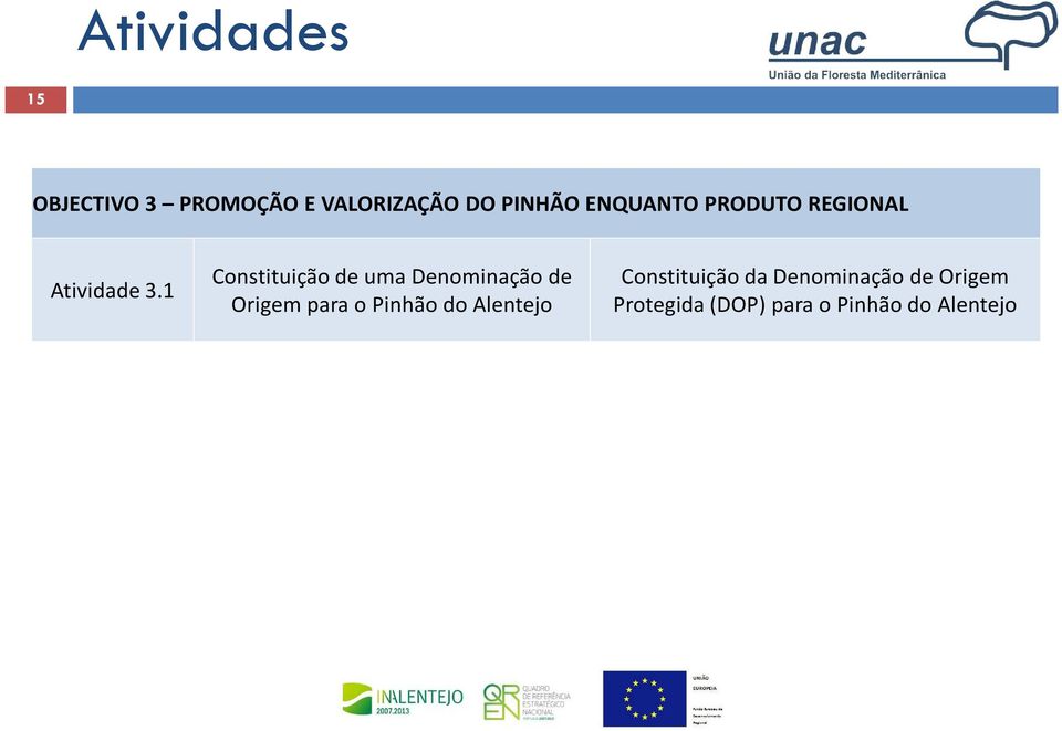 1 Constituição de uma Denominação de Origem para o Pinhão do