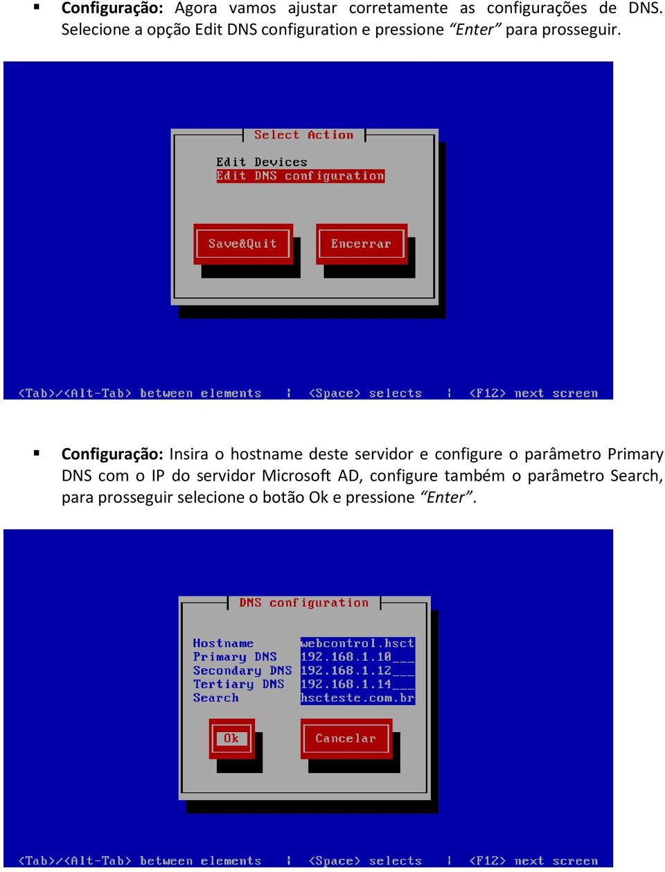 Configuração: Insira o hostname deste servidor e configure o parâmetro Primary DNS com o