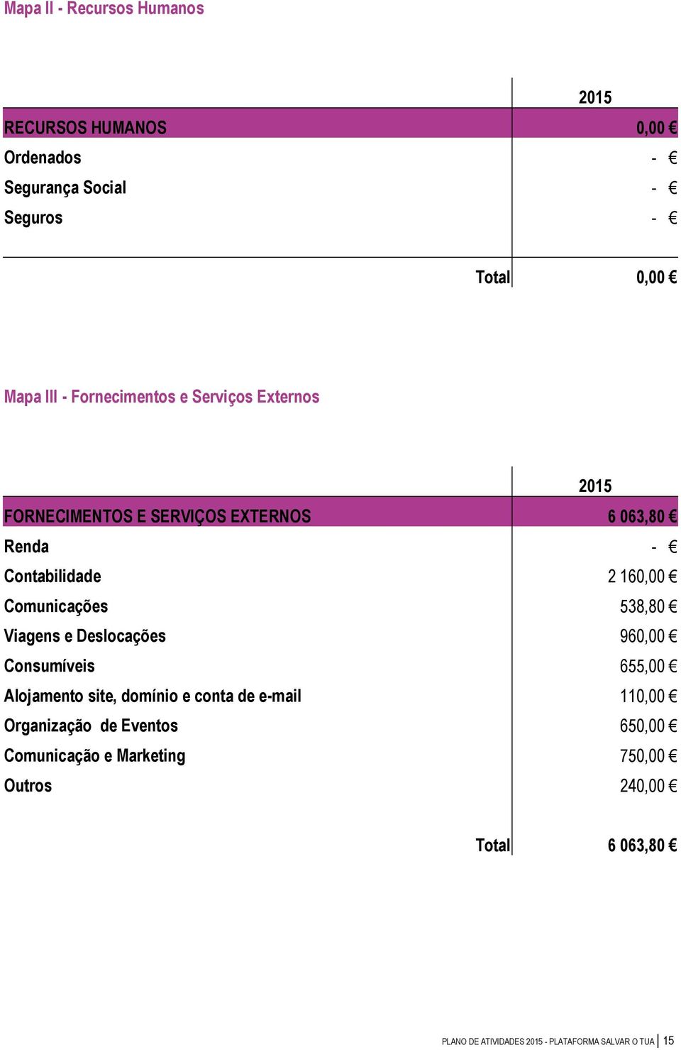 Comunicações 538,80 Viagens e Deslocações 960,00 Consumíveis 655,00 Alojamento site, domínio e conta de e-mail 110,00