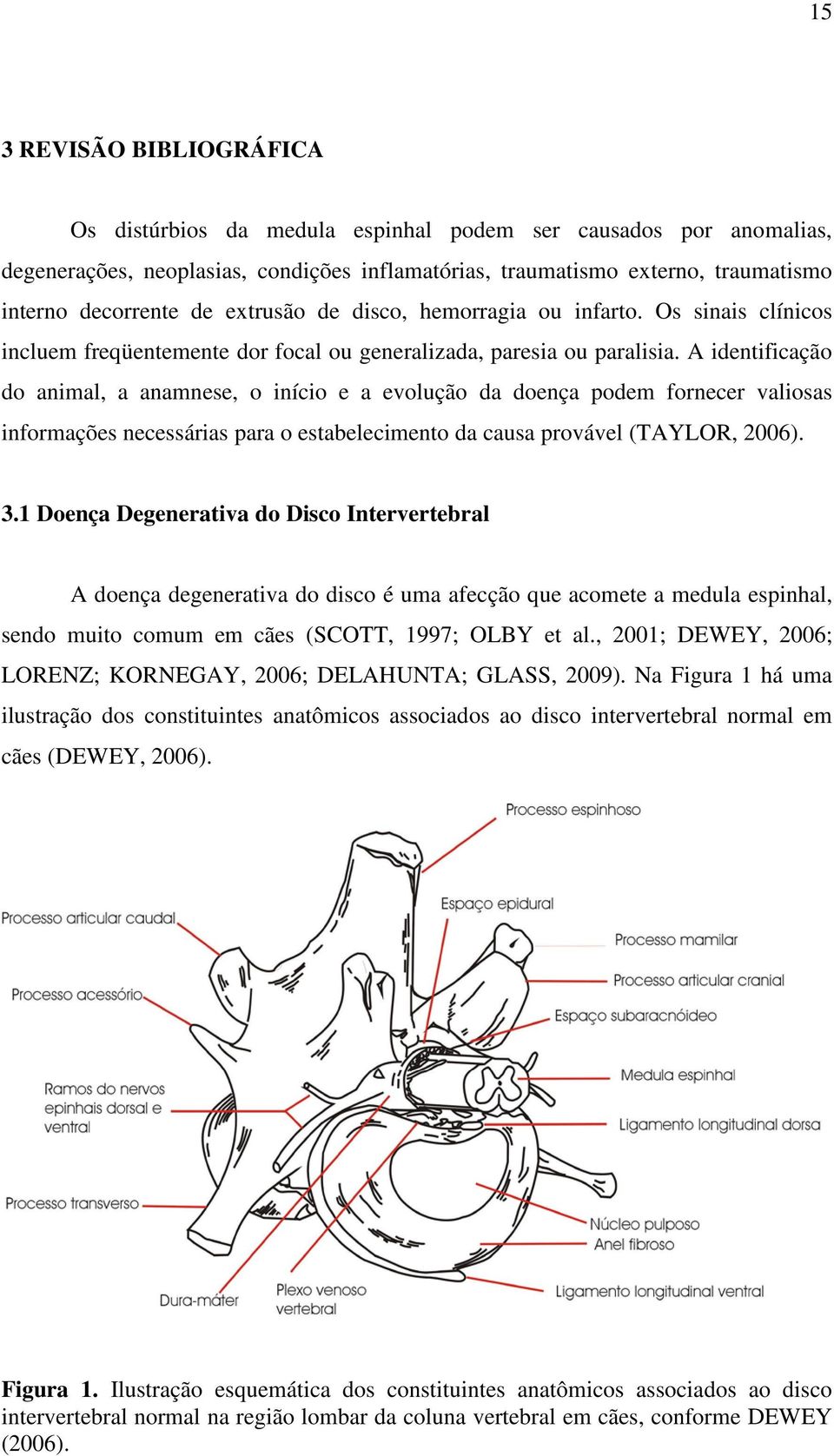 A identificação do animal, a anamnese, o início e a evolução da doença podem fornecer valiosas informações necessárias para o estabelecimento da causa provável (TAYLOR, 2006). 3.