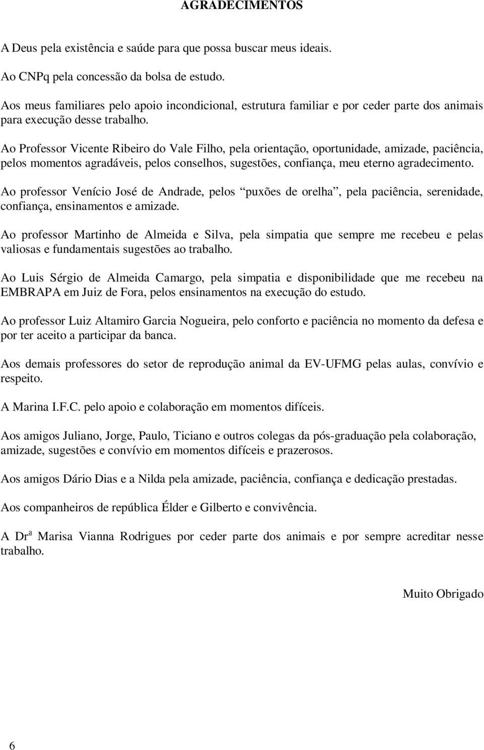 Ao Professor Vicente Ribeiro do Vale Filho, pela orientação, oportunidade, amizade, paciência, pelos momentos agradáveis, pelos conselhos, sugestões, confiança, meu eterno agradecimento.