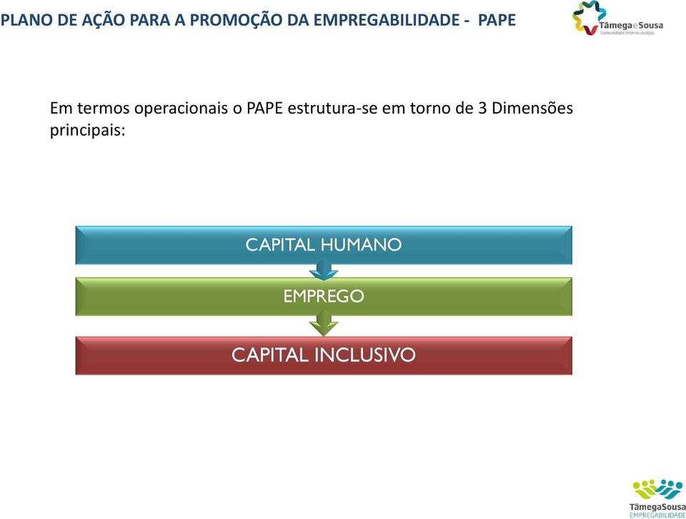 operacionais o PAPE estrutura-se em torno