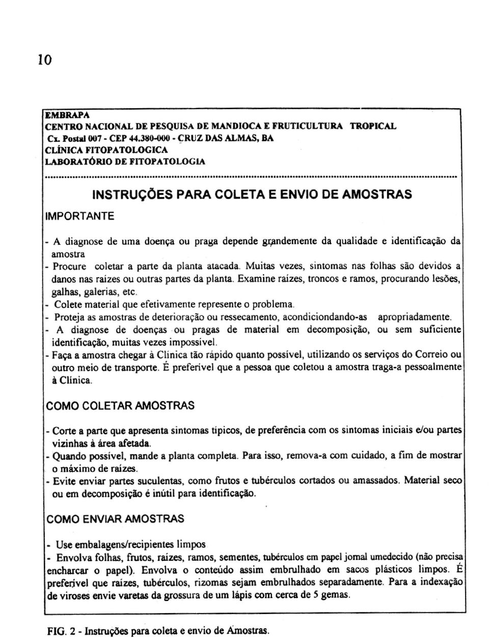 coletar a parte da planta atacada, Muitas vezes, sintomas nas folhas são devidos a dmos nas raizes ou outras partes da planta. Examine raizes, troncos e mos, procurando Imóes, gaihas, derias, etc.