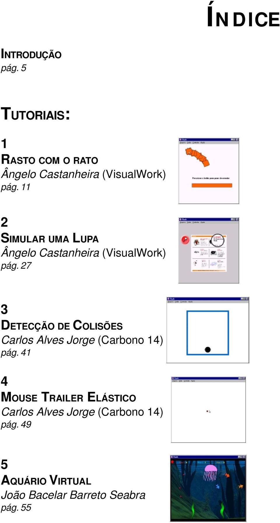 11 2 SIMULAR UMA LUPA Ângelo Castanheira (VisualWork) pág.