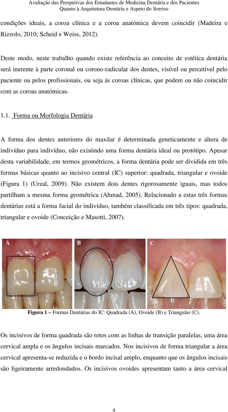 profissionais, ou seja ás coroas clínicas, que podem ou não coincidir com as coroas anatómicas. 1.