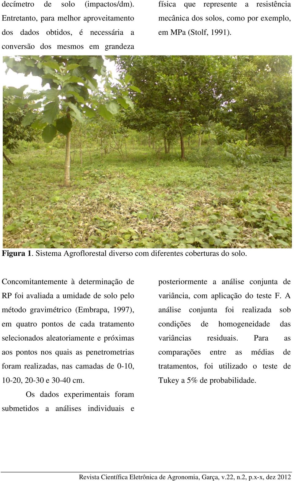 1991). Figura 1. Sistema Agroflorestal diverso com diferentes coberturas do solo.