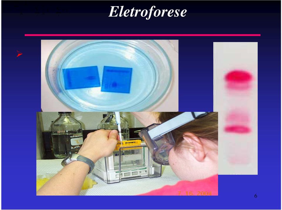 de celulose Meo sem-sóldo: - Gel de